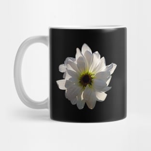 Daisies - Backlit White Daisy Mug